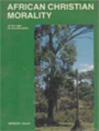 Image of African Christian Morality: At The Age Of Inculturation