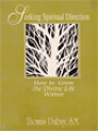 Image of Seeking Spiritual Direction: How To Grow The Divine Life Within