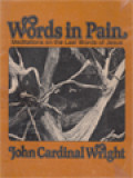 Words In Pain: Meditations On The Last Words Of Jesus