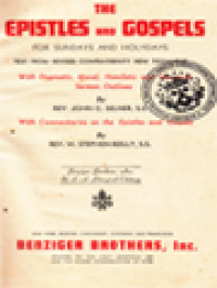 Image of The Epistles And Gospels: For Sundays And Holydays