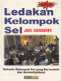 Ledakan Kelompok Sel: Rahasia Kelompok Sel Yang Tumbuh Dan Bermultiplikasi