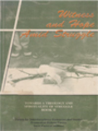 Witness And Hope Amid Struggle: Towards A Theology And Spirituality Of Struggle Book II