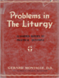 Image of Problems In The Liturgy