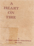 A Heart On Fire: An Outline Of The Saintly Life And Heroic Death Of Father Titus Brandsma, Carmelite