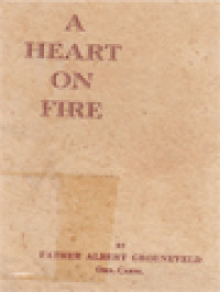Image of A Heart On Fire: An Outline Of The Saintly Life And Heroic Death Of Father Titus Brandsma, Carmelite