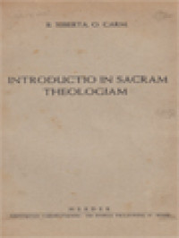 Image of Introductio In Sacram Theologiam