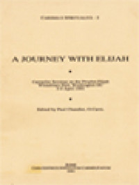 A Journey With Elijah: Carmelite Seminar On The Prophet Elijah Whitefriars Hall, Washington DC 3-9 April 1991 / Paul Chandler (Edited)