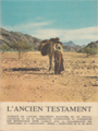 Image of L'Ancien Testament: Histoire Des Hommes Que Dieu Sauve
