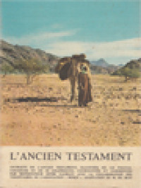 L'Ancien Testament: Histoire Des Hommes Que Dieu Sauve