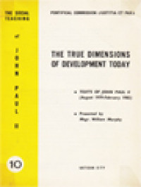 Image of The Social Teaching Of John Paul II (10): The True Dimensions Of Development Today