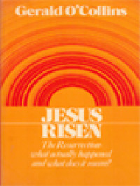 Image of Jesus Risen: The Resurrection - What Actually Happened And What Does It Mean?