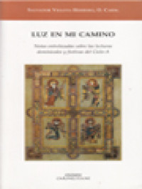 Image of Luz En Mi Camino: Notas Entrelazadas Sobre las Lecturas Dominicales y Festivas del Ciclo-A
